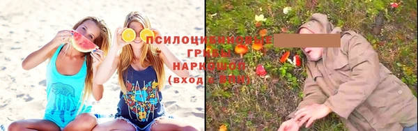 бошки Надым