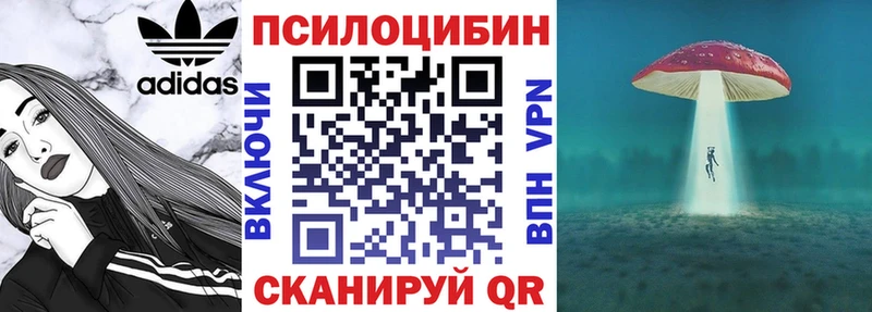 Купить закладки  Владимир  Псилоцибиновые грибы ЛСД 